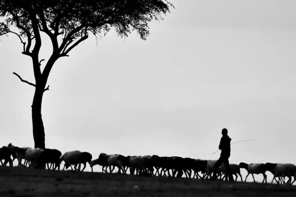 LIDERANÇA PASTORAL PARA OS DIAS ATUAIS: Temor, Paixão e Relacionamentos em um Mundo em Mudança
