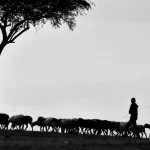 LIDERANÇA PASTORAL PARA OS DIAS ATUAIS: Temor, Paixão e Relacionamentos em um Mundo em Mudança